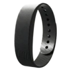 One Dawn Band