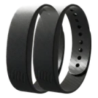 Two Dawn Bands